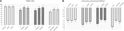 Flavonoid Naringenin Alleviates Short-Term Osmotic and Salinity Stresses Through Regulating Photosynthetic Machinery and Chloroplastic Antioxidant Metabolism in Phaseolus vulgaris